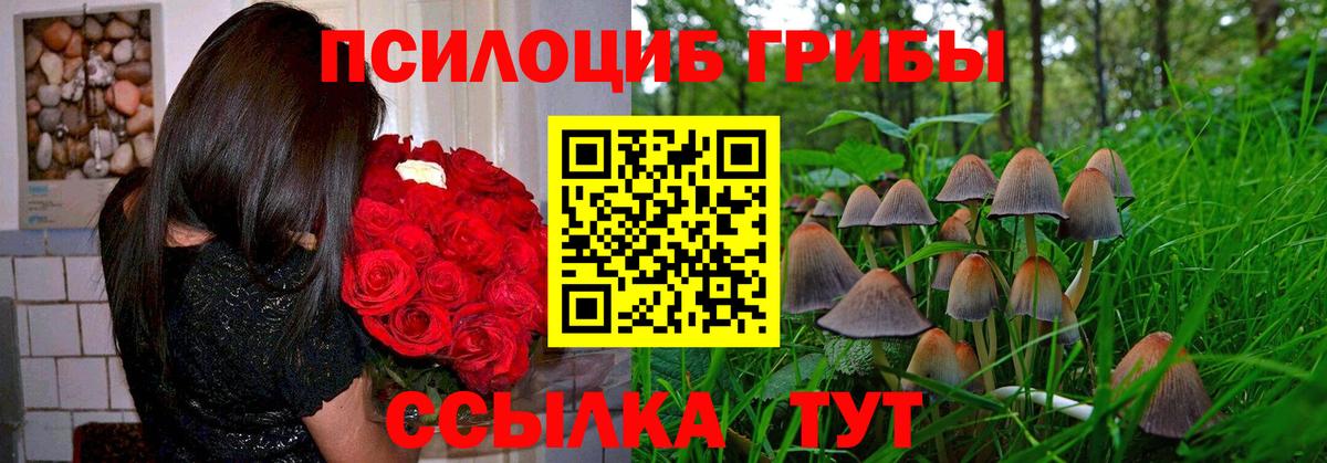 Псилоцибиновые грибы мухоморы Скопин