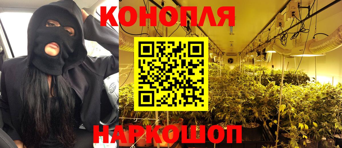 Конопля OG Kush Скопин
